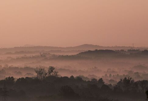 Layers of trees and hills emerging from morning mist